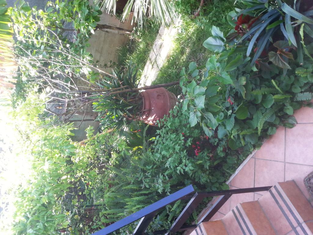B&B Mare E Sole บรินดิซิ ภายนอก รูปภาพ